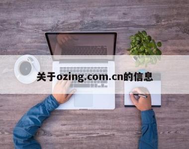 关于ozing.com.cn的信息